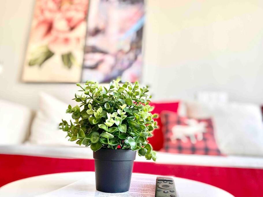 Tropicana 218 Macalister #Wondercolor #Infinity Pool #Georgetown #5Pax #2Br 2Bath #1King 1Queen 1Single #Quality Well Maintained #Private Host Exteriör bild